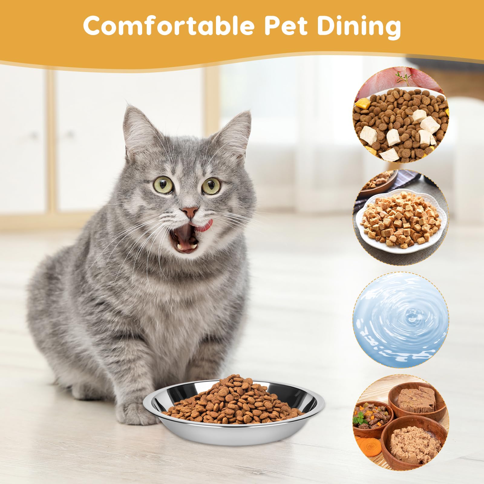 6 Pezzi Ciotole in Acciaio Inox per Gatto Antiscivolo Anti Ingozzamento Lavabile in Lavastoviglie