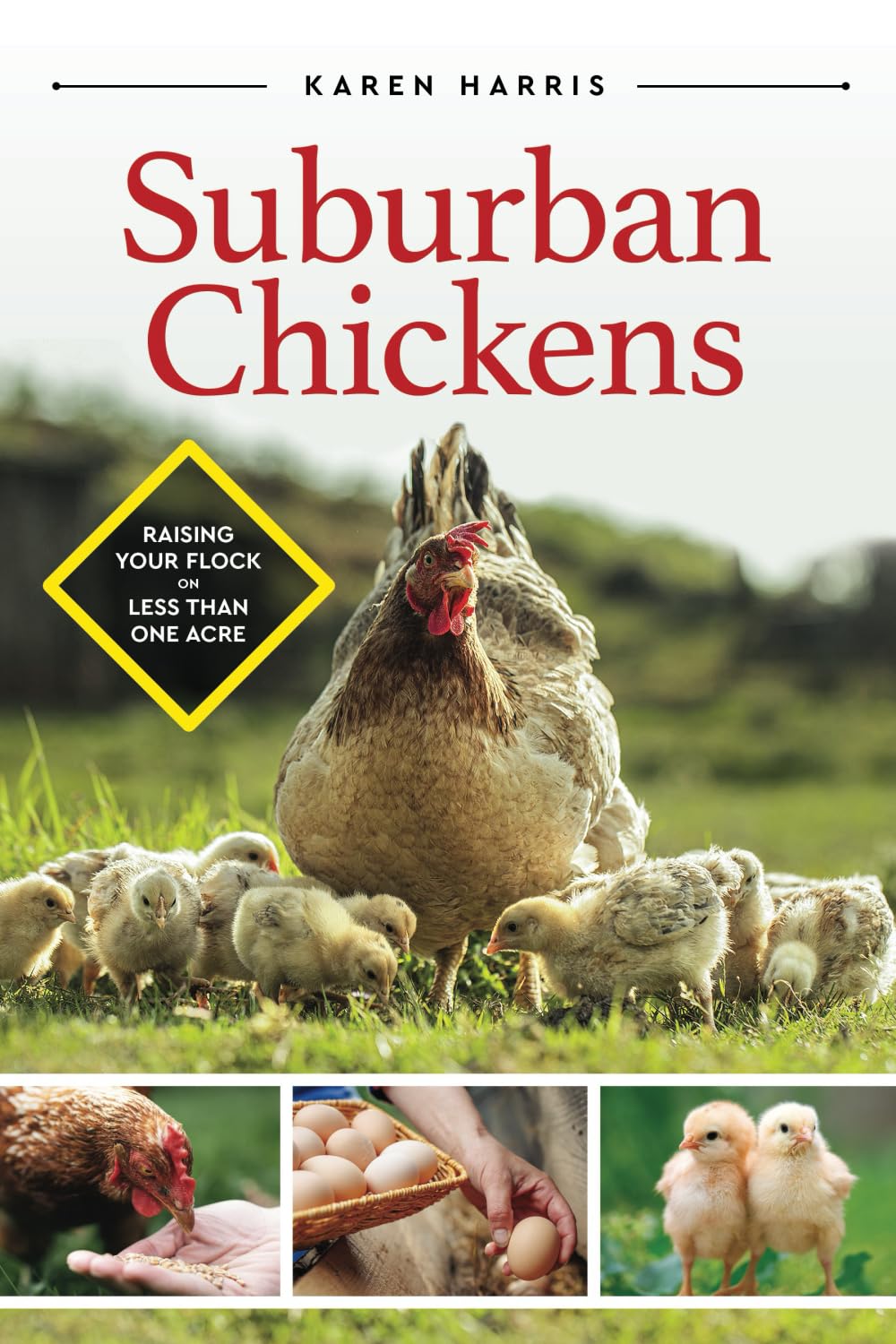 Suburban Chickens: Raising Your Flock on Less Than One Acre