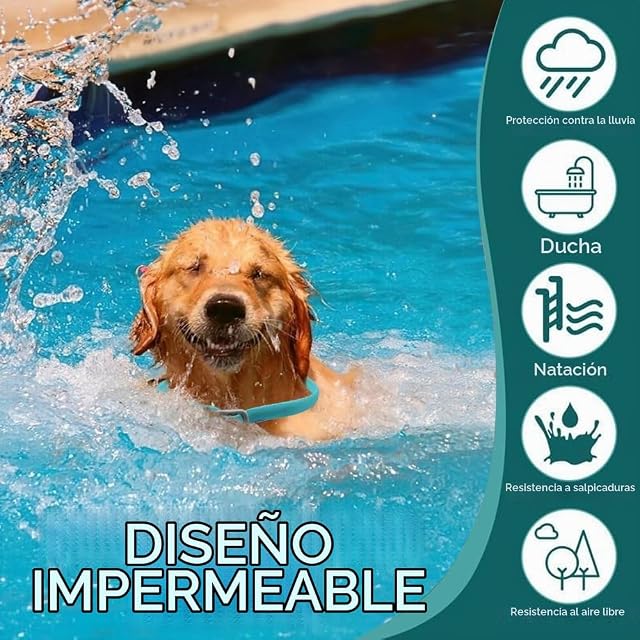 Foto 4 de 7 de BKEPDY Collar Antiparasitario contra Pulgas y Garrapatas para Perros y Gatos Ajustable para Cualquiera Razas…