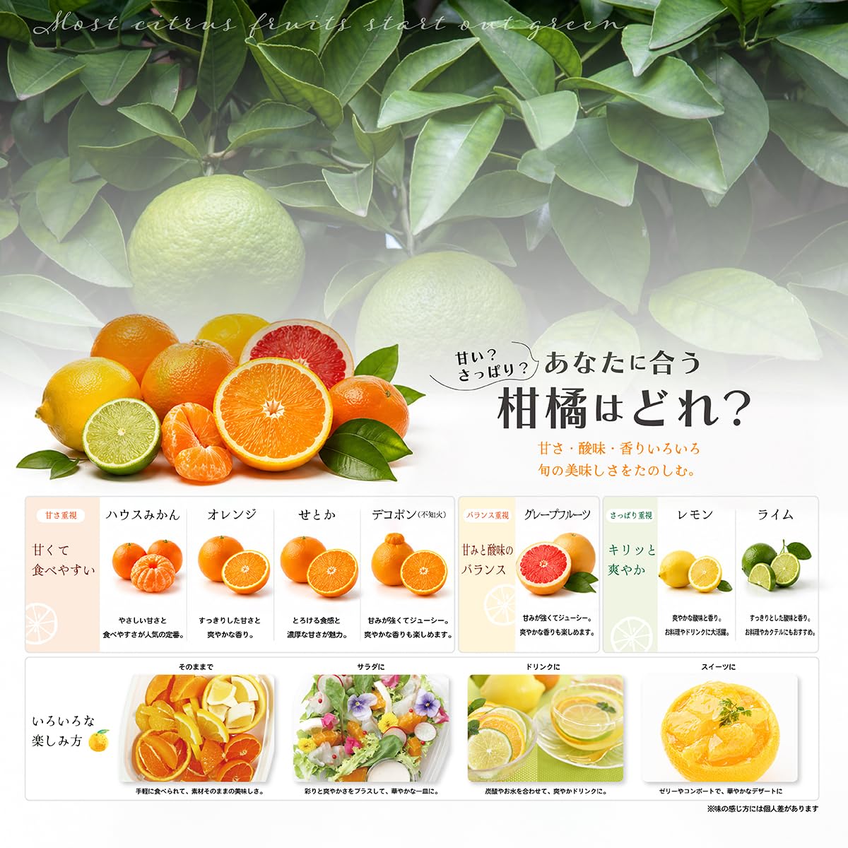 Amazon.co.jp: 輸入 レモン 3個 : 食品・飲料・お酒