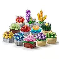 Chodia Succulents Botanical Collection Flowers Building Block Set, 12 Potted Tiny Happy Plant Toys Kits Desk Decor Display, Mother Valentine's Day Gifts for Adults Women Kids Girls Ages 6-12, 8-12