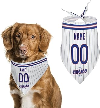 Chicago Dog Bandana Pet Gear Pet Apparel Select Any Name Any Number Gifts for Dogs Cats