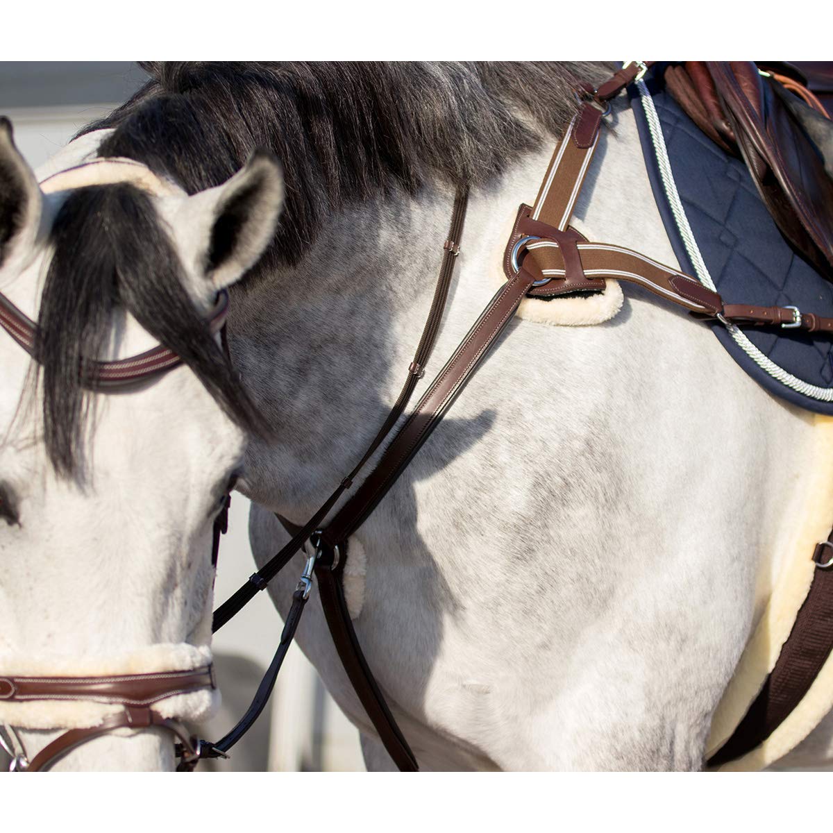 QHP Collier de Chasse Ontario - Marron - COB