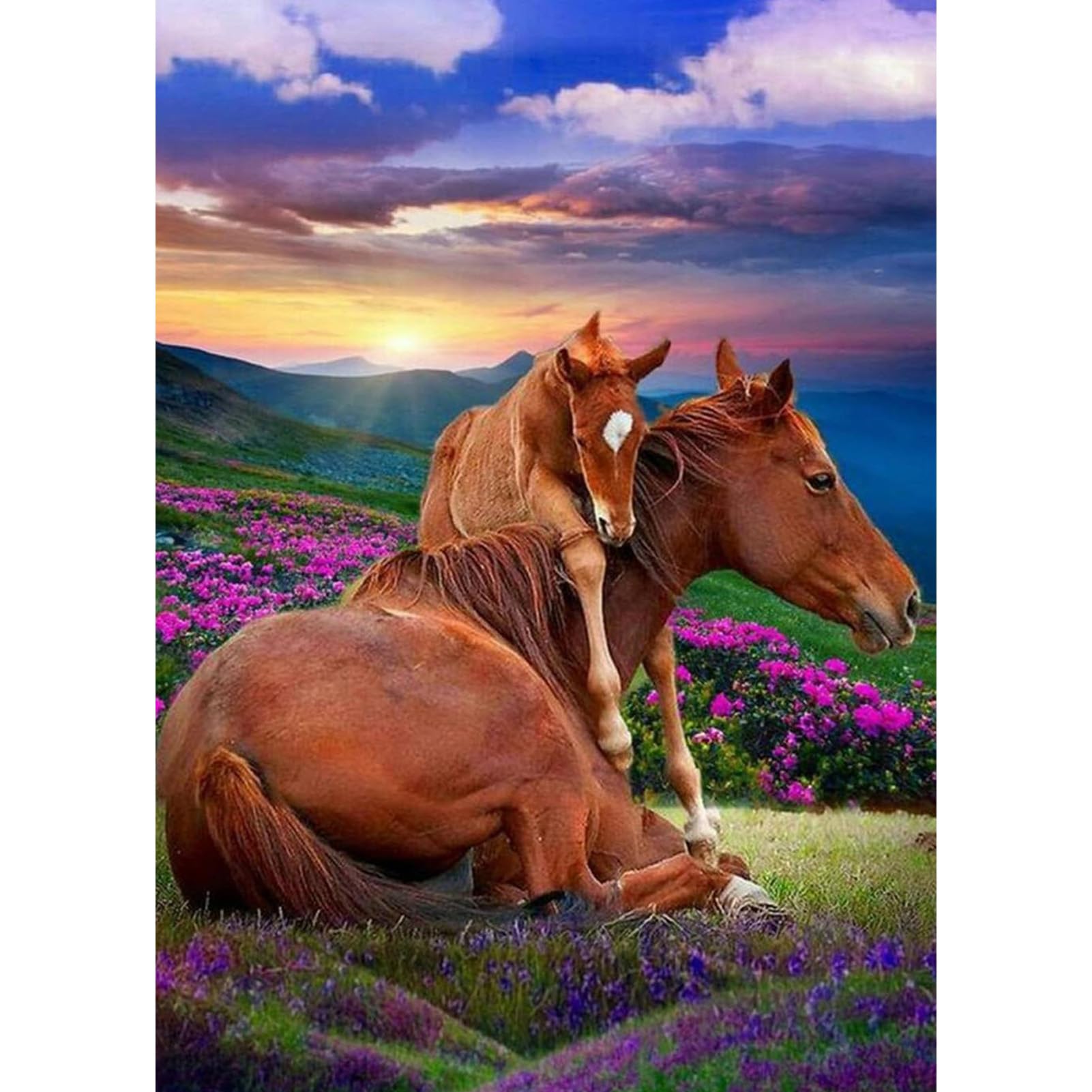 DAERLE Diamond Painting Caballo, Diamond Painting Kit Completo, Kit de Pintura de Diamantes Kits Adultos, Pintura de Diamantes, Cuadro Diamantes, Pintura Diamante Caballos bonitos, 30x40cm