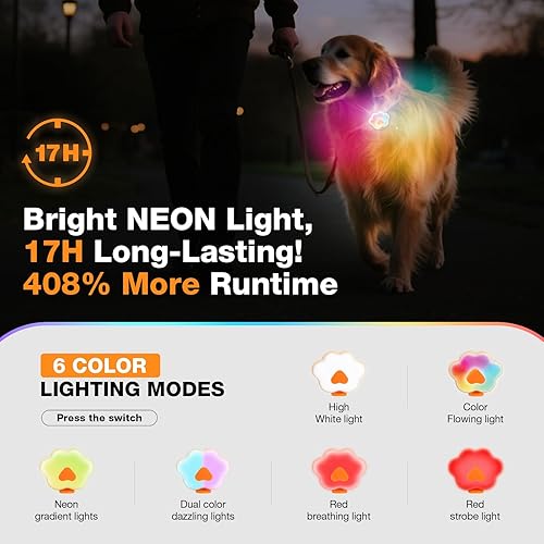 Miniatura 2 de Lekereise Luces de neón para collar de perro, 6 modos de luz LED recargable USB-C para collares de perro, banda de silicona impermeable y suave,