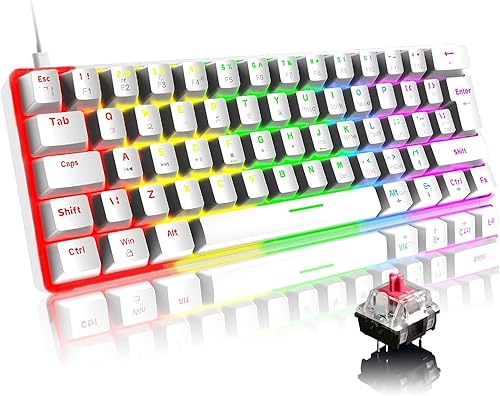 ROBEVE Blic Oyuncu Klavyesi RGB Klavye 20 Modlu Ayarlanabilir Renk Seçeneği RGB Suya Ve Toza Dayanıklı Klavye Oyun Klavyesi Oyuncu Klavye Mekanik Klavye Kırmızı Switch (Beyaz)