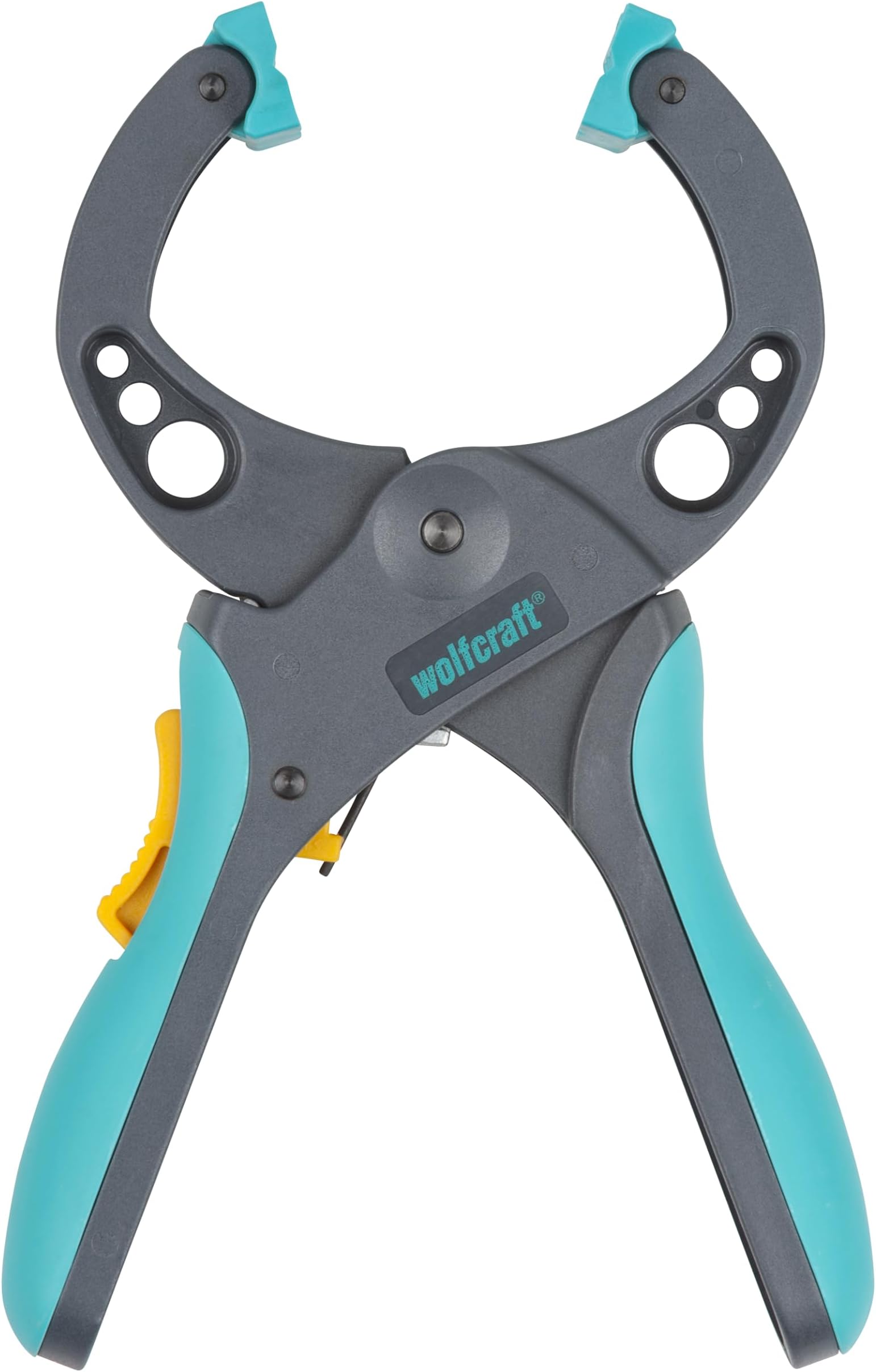3632000 Ratchet Clamping Lever FZR 50, Ratchet Clamp