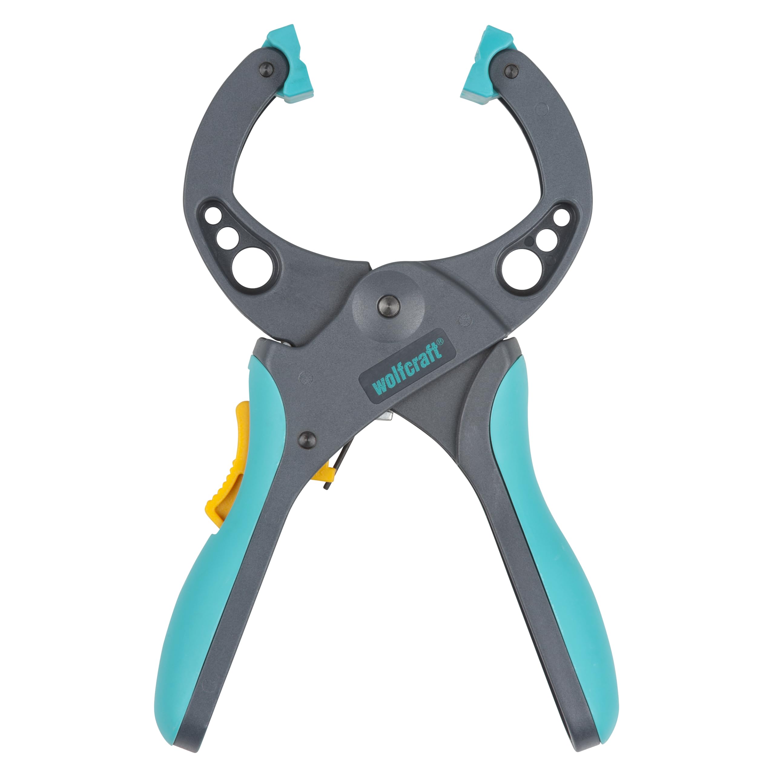 3632000 Ratchet Clamping Lever FZR 50, Ratchet Clamp