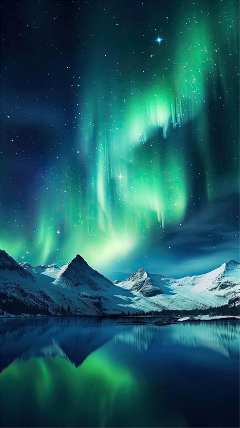 Landscape Paint by Numbers Northern Lights Paint by Numbers for