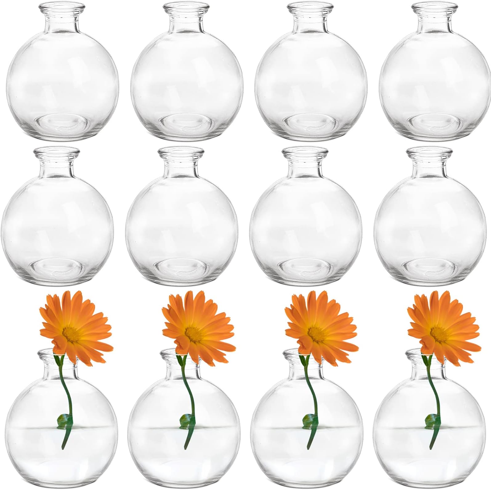 SOUJOY Set of 12 Small Glass Ball Bud Vase, Unique Mini Low Sitting Flower Vase, Clear Floral Centerpieces for Home Decor, Weddings, Floral Arrangements, Events, Parties