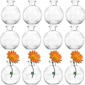SOUJOY Set of 12 Small Glass Ball Bud Vase, Unique Mini Low Sitting Flower Vase, Clear Floral Centerpieces for Home Decor, Weddings, Floral Arrangements, Events, Parties