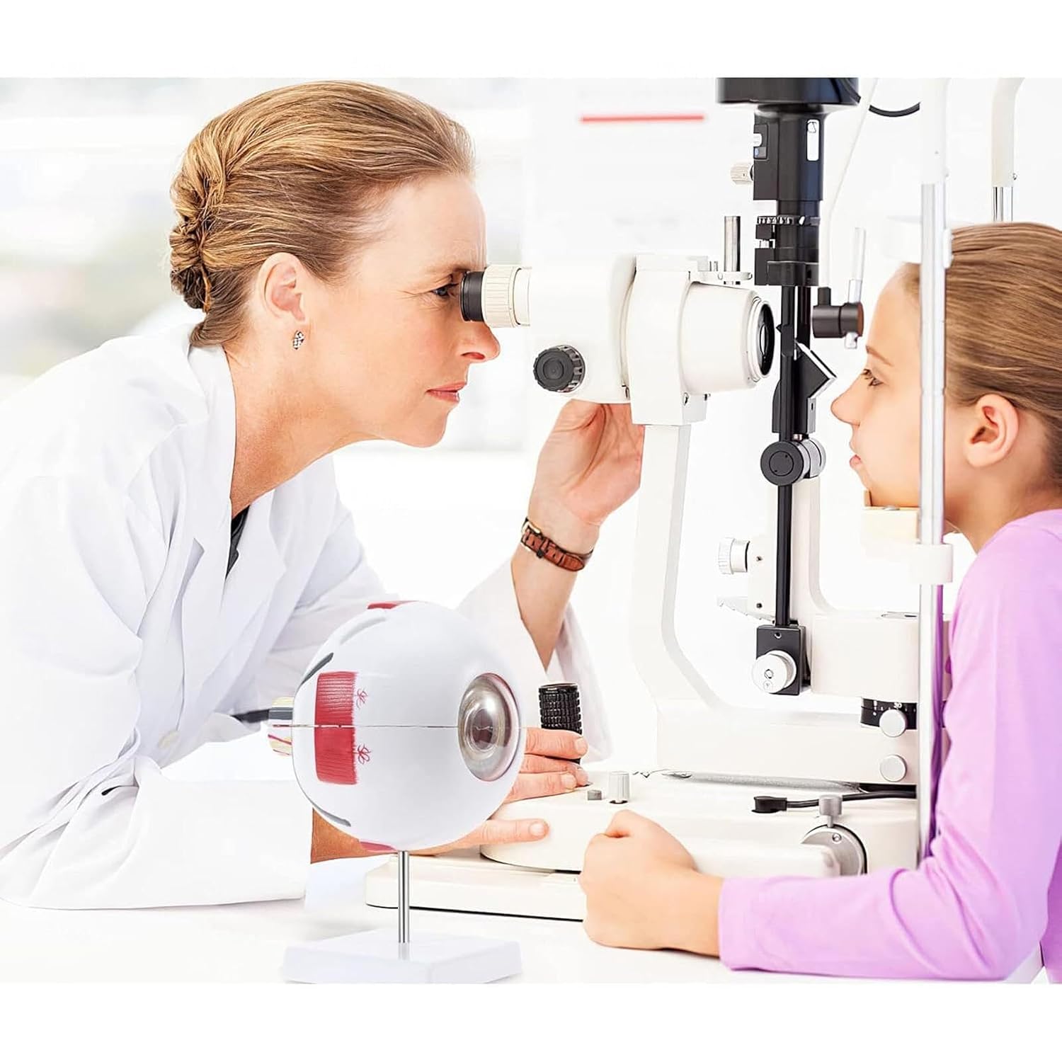 Enlarged Human Eye Anatomy Model,6X Anatomically Accurate Science Education Display Medical Teaching Education Human Eye Anatomical Model with Detachable Bracket