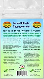 Purple Kohlrabi Sprouting Seeds | Chou-Rave Violet Graines à Germer | Certified Organic & Non-GMO | Net Wt. 200 Grams (Approx. 69,000 Seeds) | High Germination Rate | Product of Canada