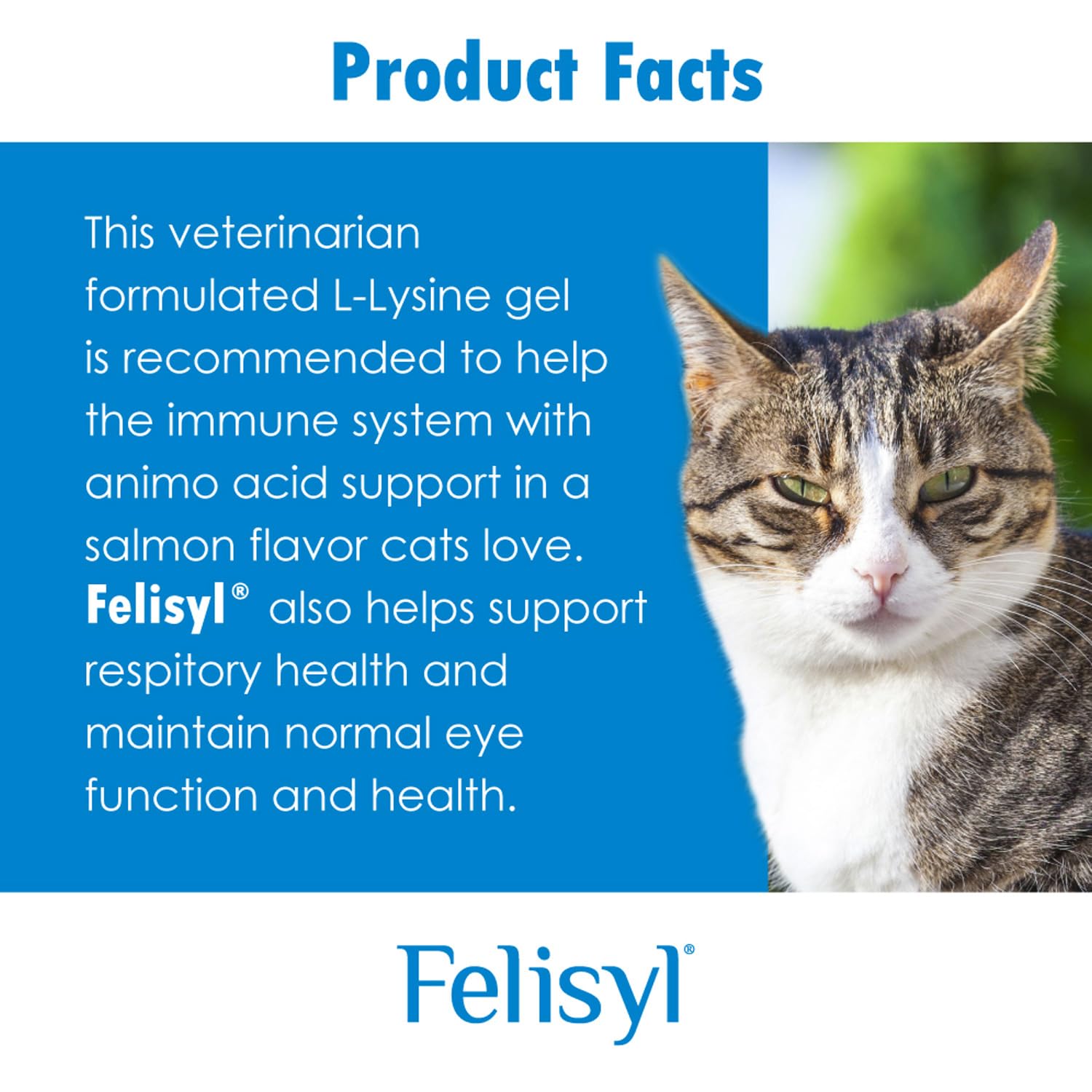 Immune System Support for Cats - Amino Acid L-Lysine - Produce Antibodies - Healthy Tissue, Respiratory Health, Vision - 60 Soft Chews — Amazon image 7