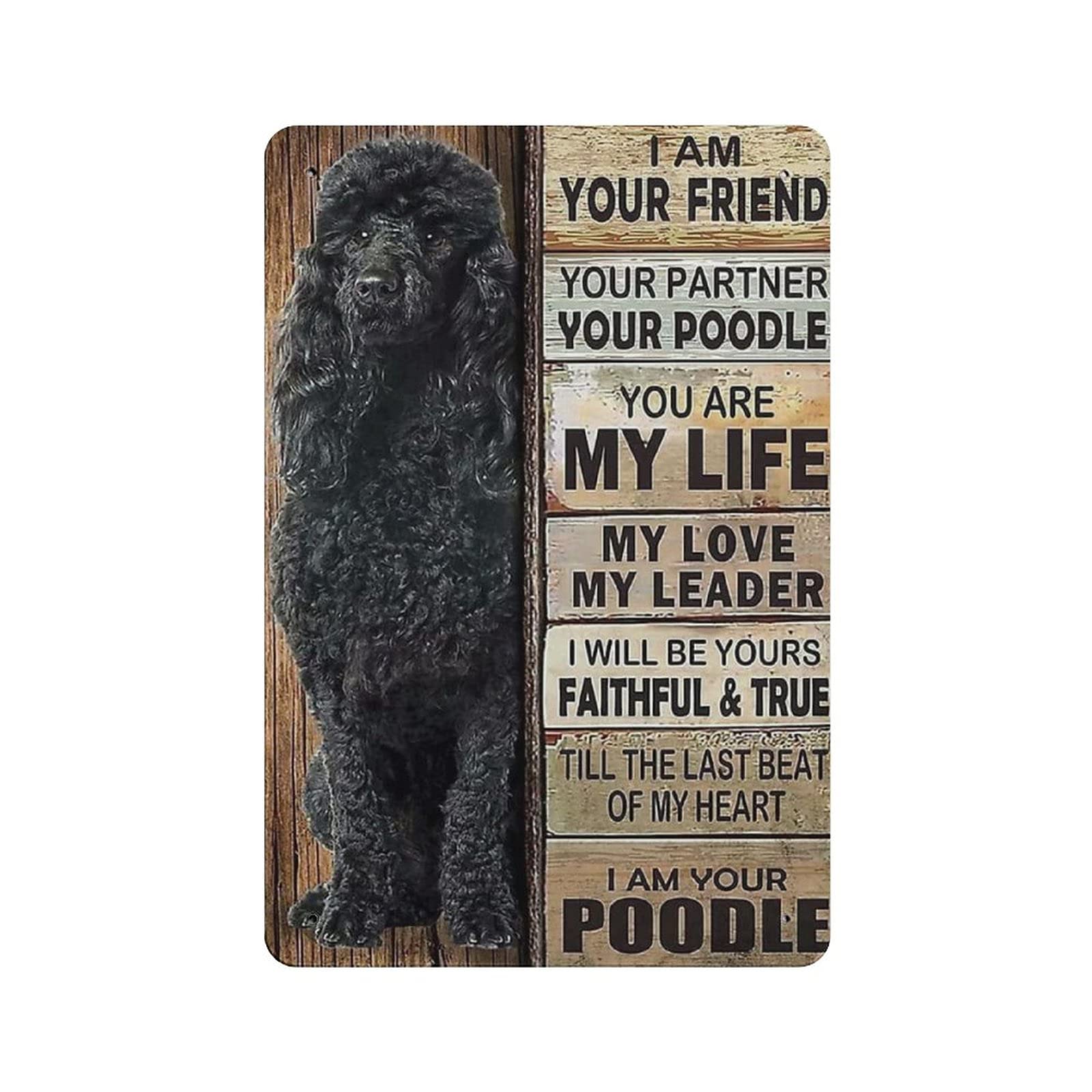 rayprint Metal Tin Sign Poodle Dog Vintage Tin Poster Metal Sign Wall Decoration Country Kitchen Home Garage Decor 12"x8"