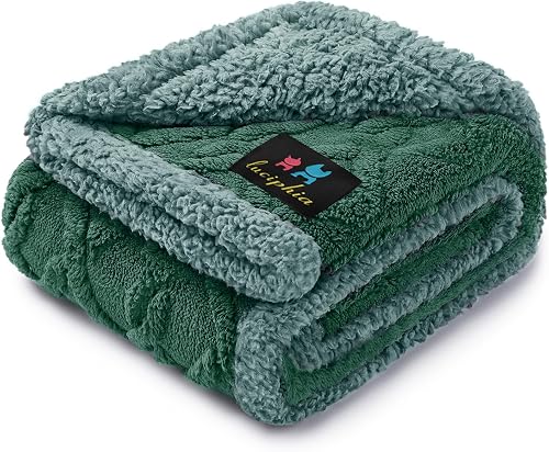 Luciphia Waterproof Pet Blanket, Liquid Pee Proof Dog Blanket for Sofa Bed Couch, Reversible Sherpa Fleece Furniture Protector Cover for Small Medium Large Dogs Cats, Green-Thicken Small(40" x 28")