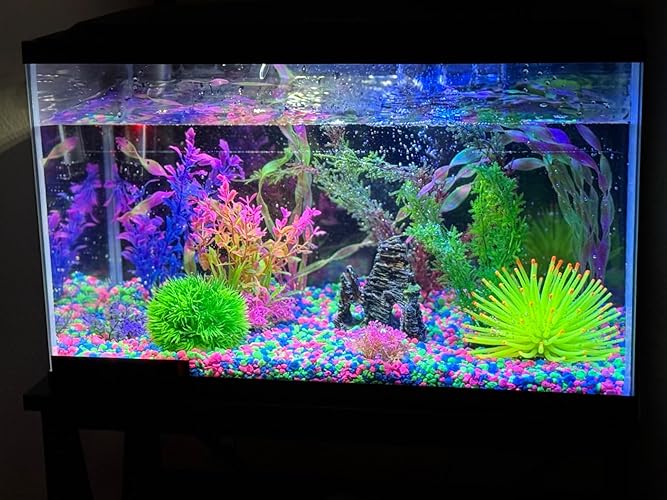 Review Image by CollegeKid Mom
