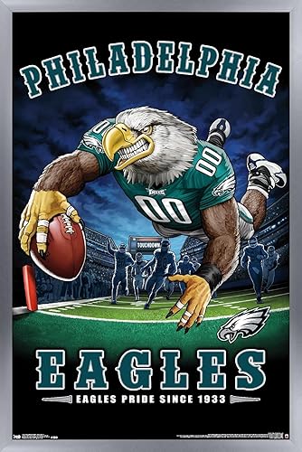 Trends International NFL Philadelphia Eagles - Póster de pared de End Zone 17, 22.375 x 34 pulgadas, versión enmarcada plateada