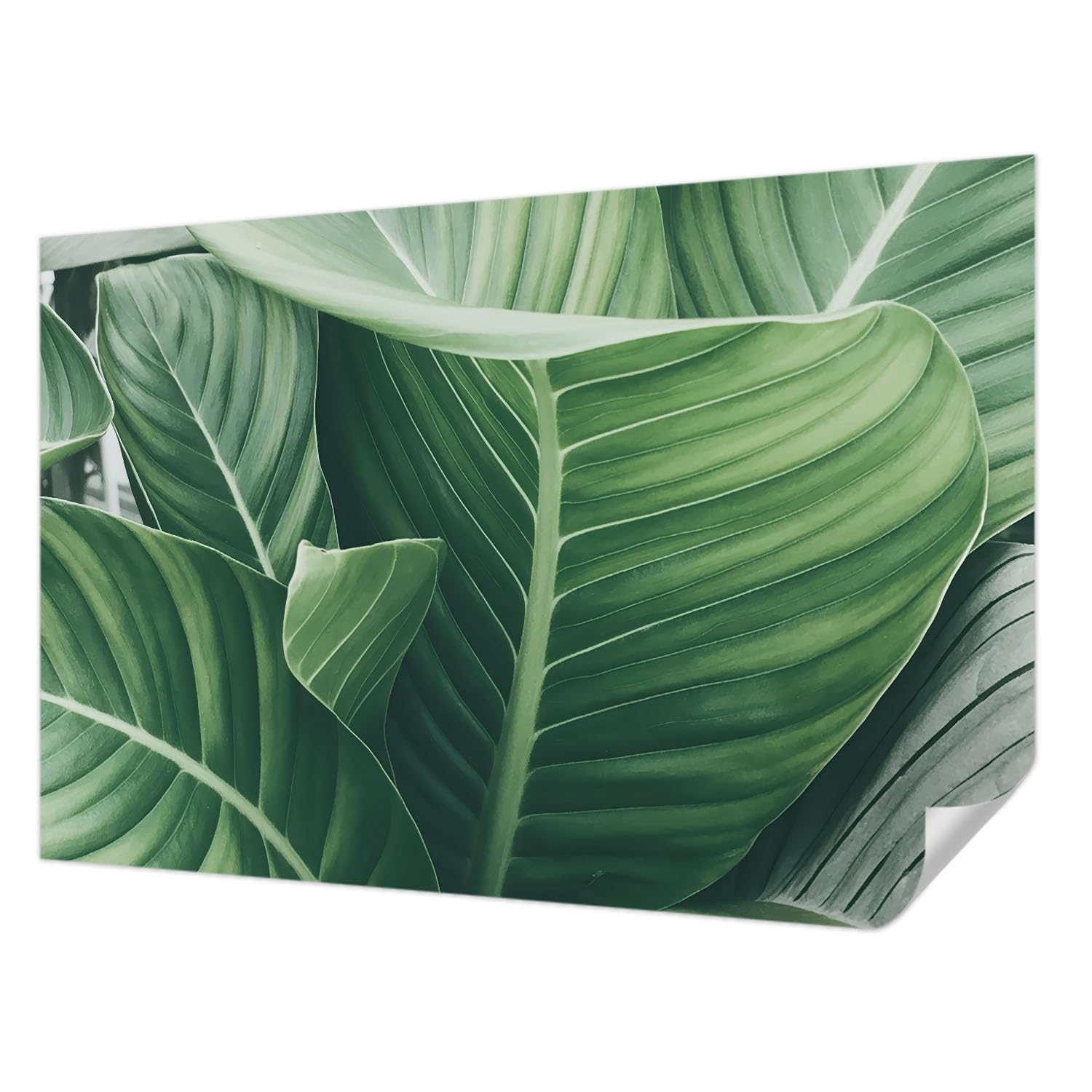 Papier peint photo autocollant Tulup 104x70 cm décor mural de salon moderne