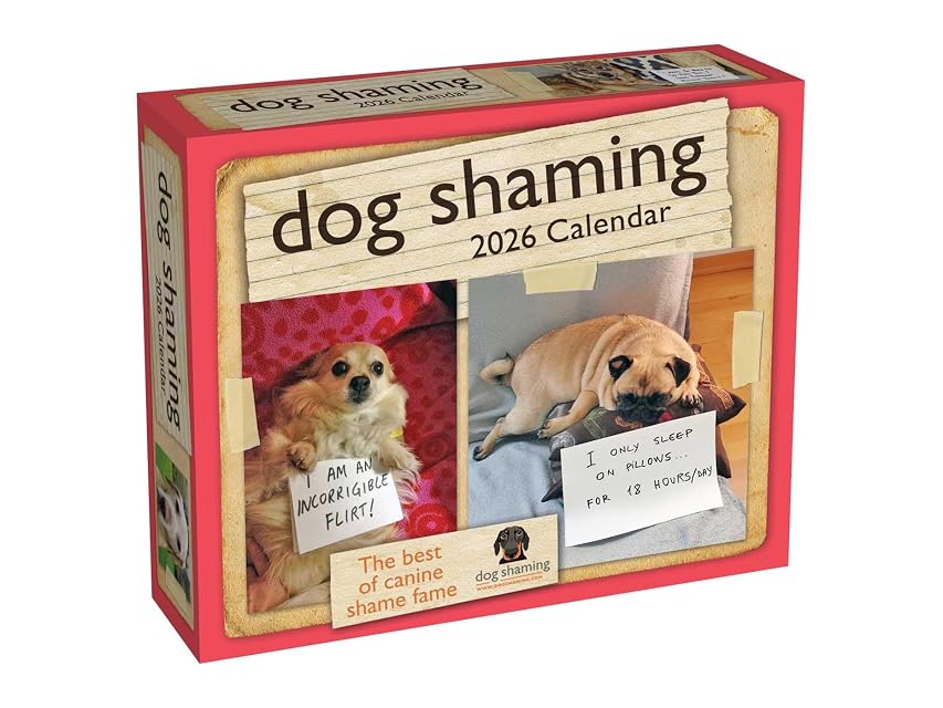 Portada de Dog Shaming 2026 Day-to-day Calendar