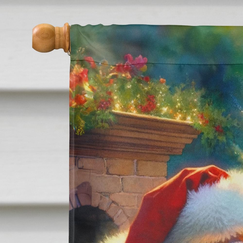 Caroline's Treasures DAC4058CHF American Eskimo and Santa Claus House Flag Large Porch Sleeve Pole Decorative Outside Yard Banner Artwork Wall Hanging, Polyester, House Size, Multicolor