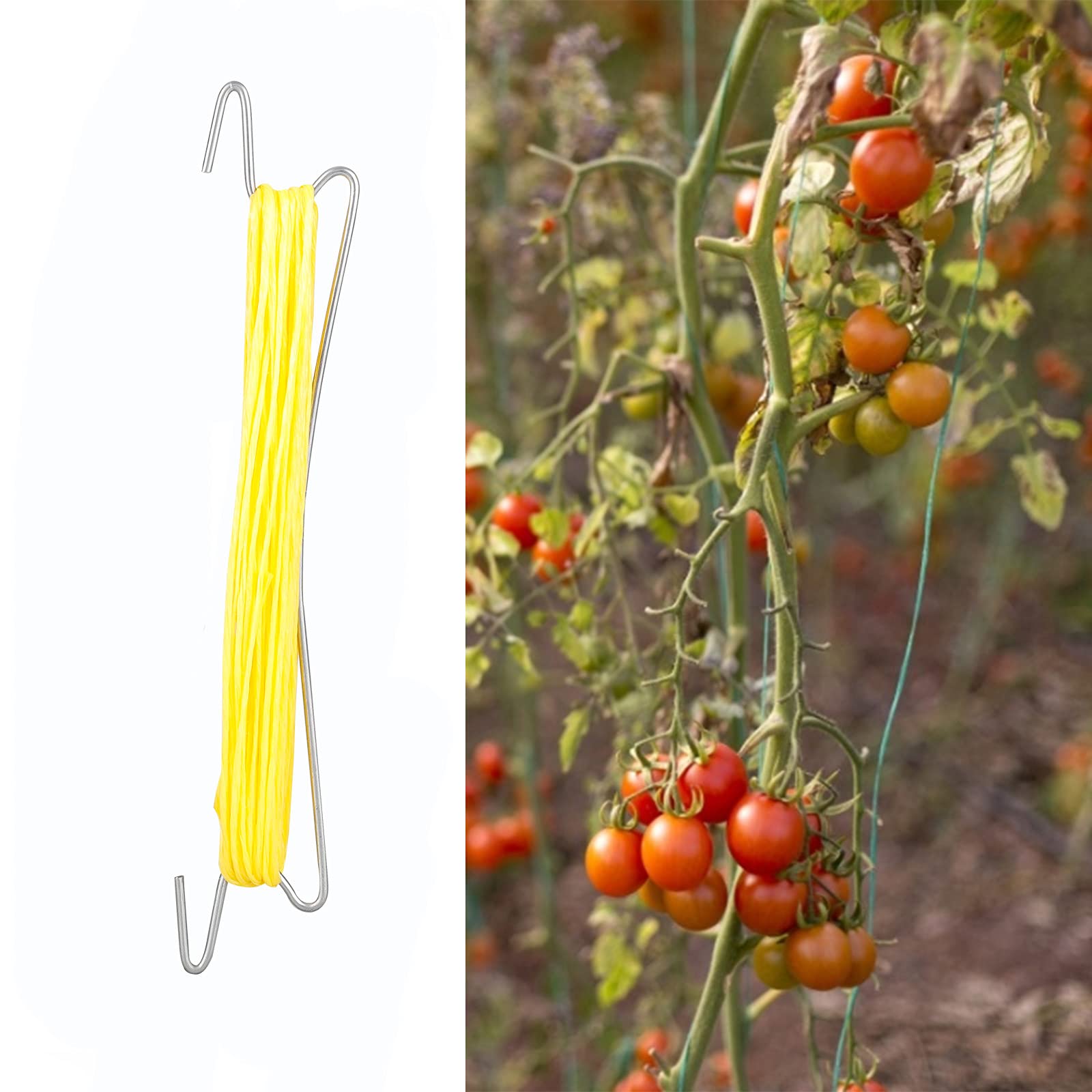 TRRAPLE 10 ganci di supporto per pomodori, traliccio di pomodoro con 15 m di corda di