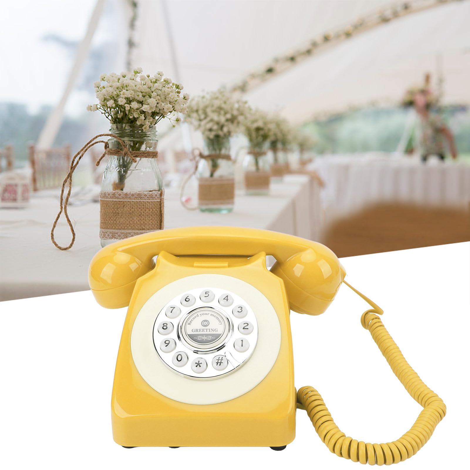 Generic 10PCS NJM4580L SIP-8 NJM4580