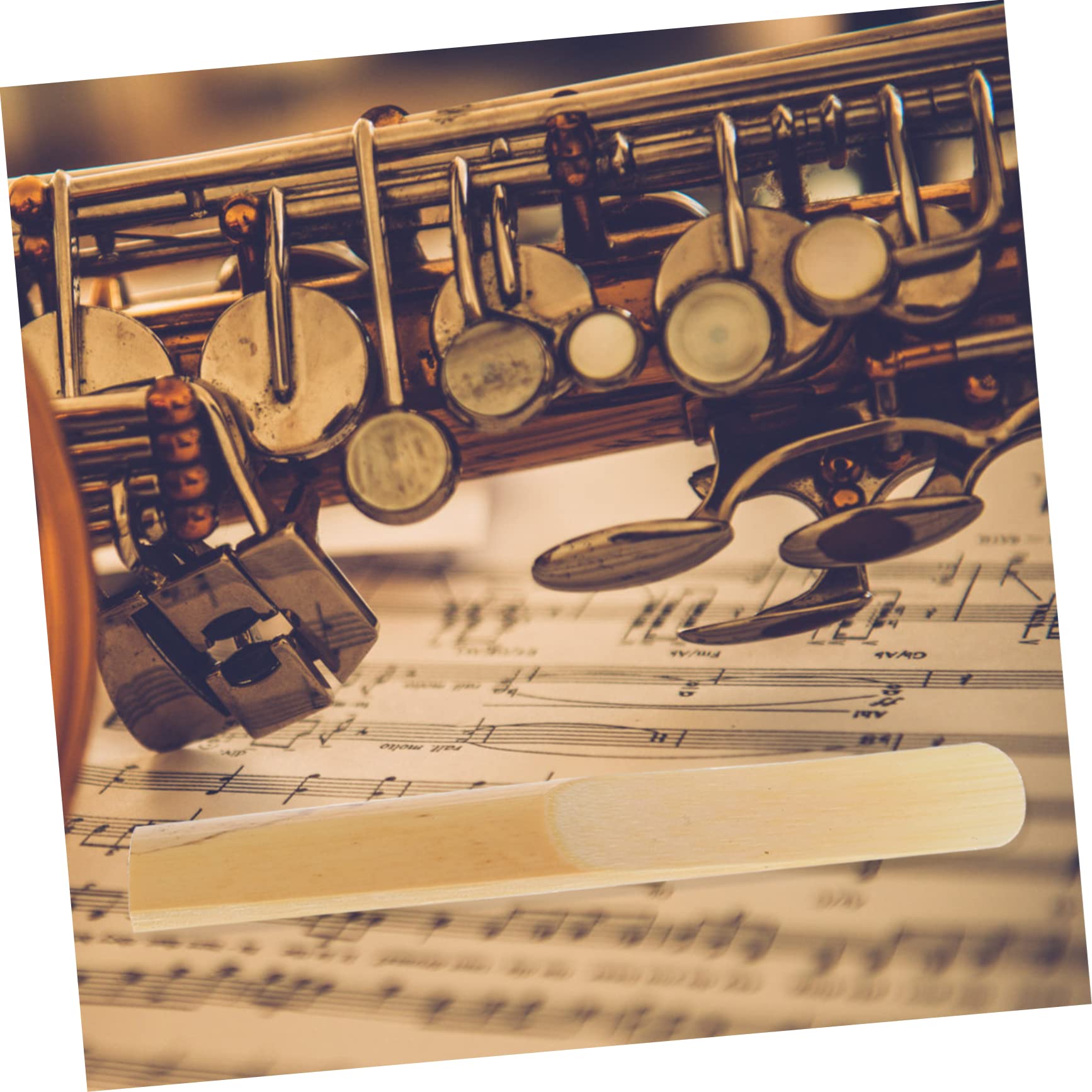 BESTonZON 40 Pz ancia di clarinetto accessorio strumento compatto ance del sassofono strumento musicale the sound strumento per suonare il clarinetto forniture di sassofono canna naturale