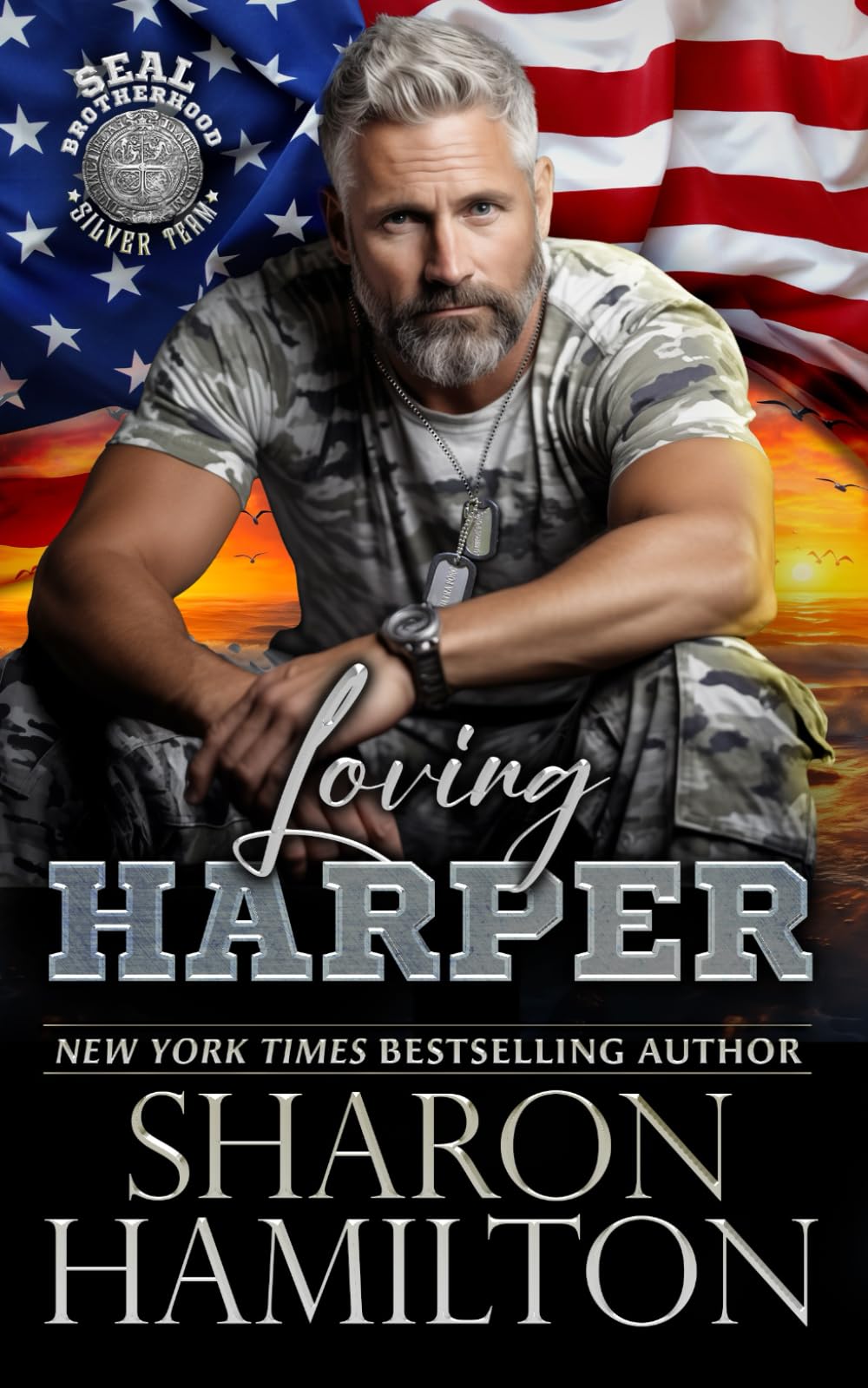 Loving Harper: 2 (SEAL Brotherhood: Silver Team)
