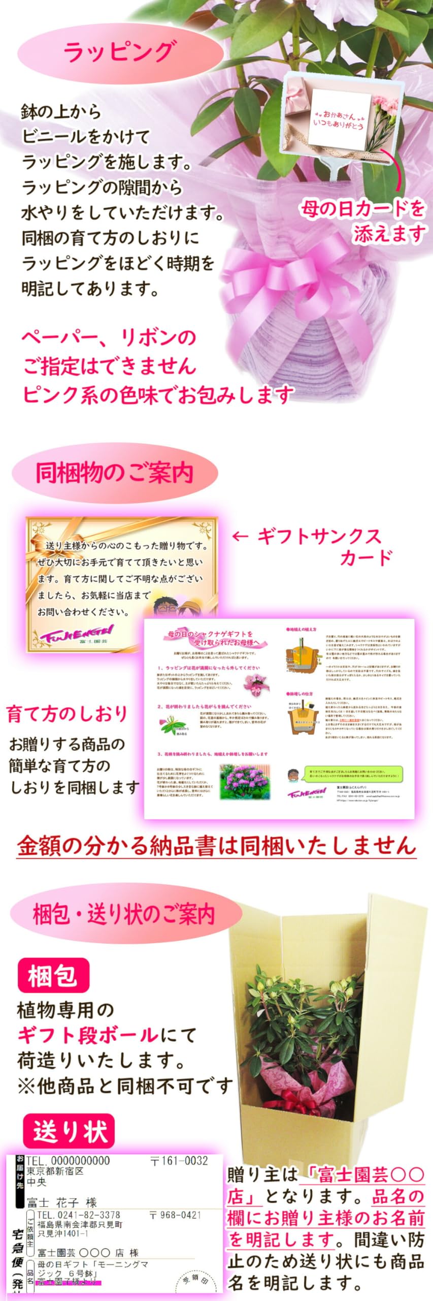 Amazon｜【 早割 】 母の日ギフト「西洋 シャクナゲ ドック 5号鉢