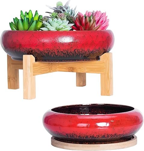 Miniatura 13 de ARTKETTY Macetas para suculentas con drenaje, maceta grande para suculentas con soporte y platillo, macetas poco profundas para bonsái de cerámica