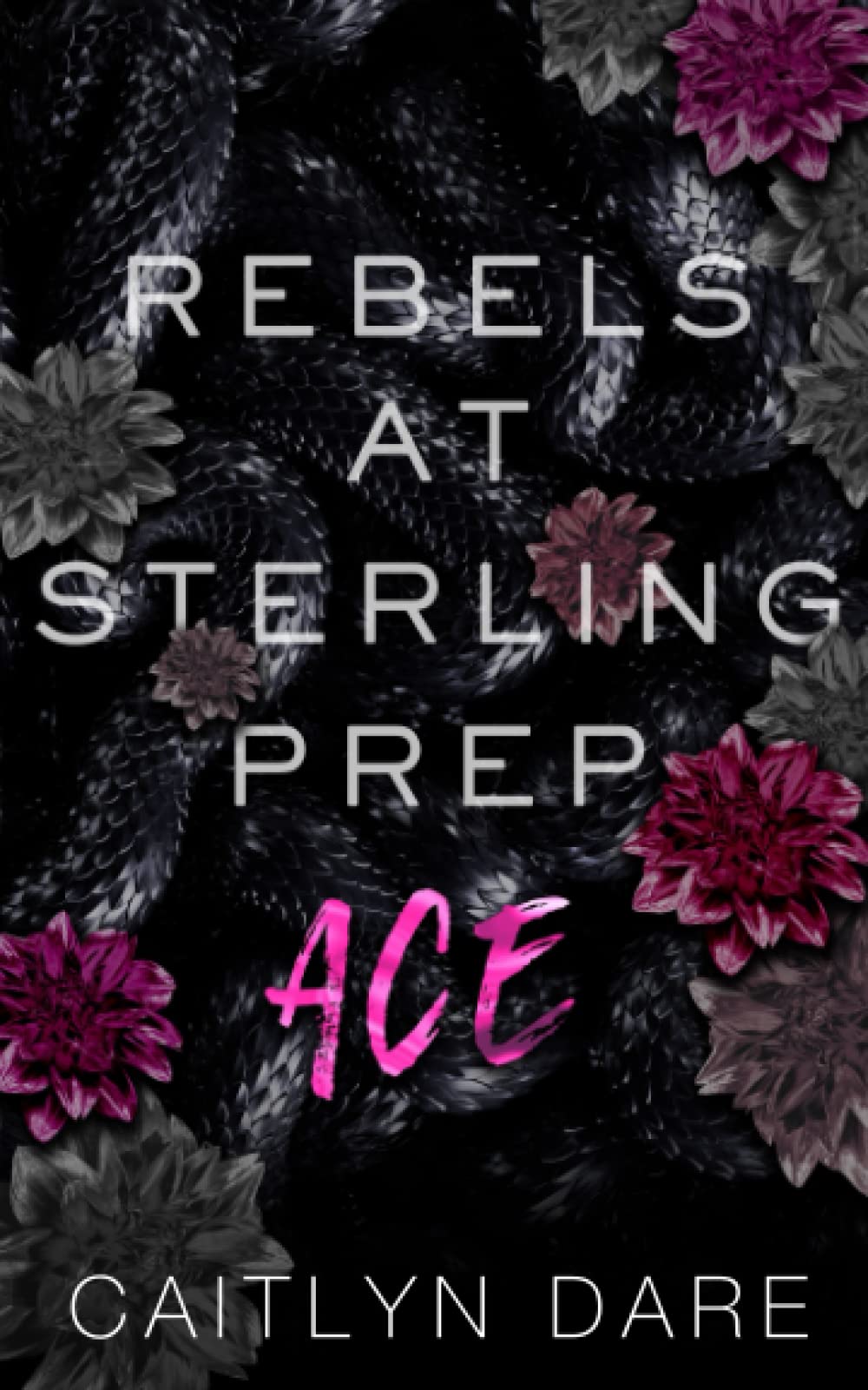 Rebels at Sterling Prep: Ace: A Dark High School Romance (Rebels at Sterling Prep Duets)