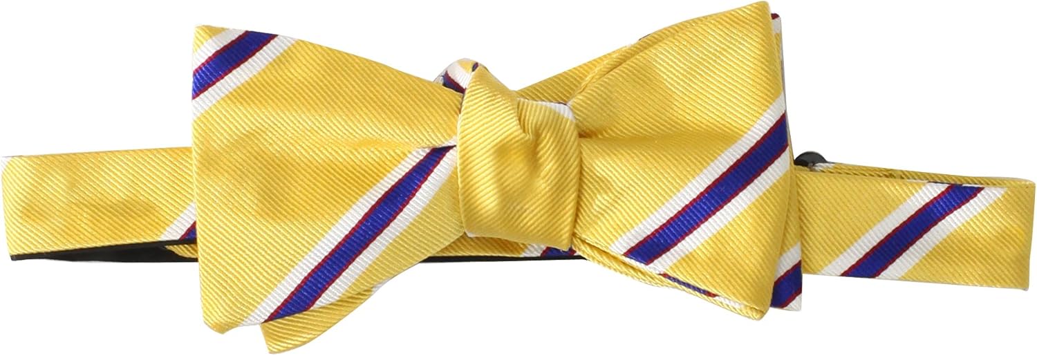 Countess Mara Men's Stewart Stripe Bow Tie