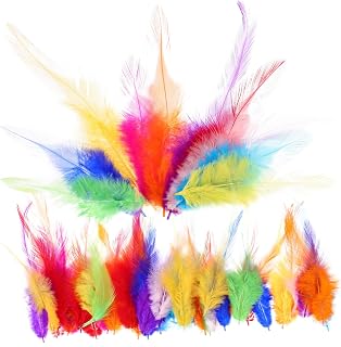 100pcs Craft Plumes for DIY Dream Catcher and Home Decorations Non-Fading Quill Ornaments for Masquerade Wedding Birthday Party and Costume Making Supplies
