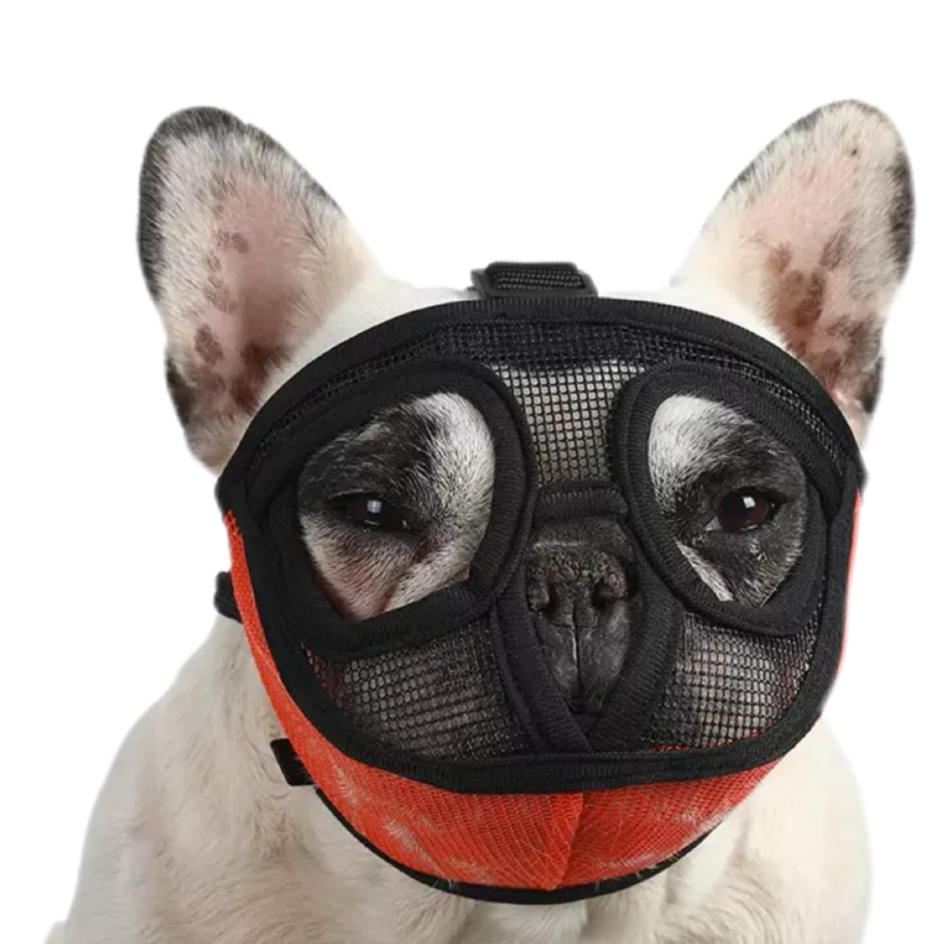 FDIDY Breathable Short Snout Dog Muzzle for French Bulldog, Pug, English Bulldog, Pekingese – Soft Mesh Muzzle with Open Eye Design, Prevents Biting & Chewing (Orange, 1 Pack Medium)