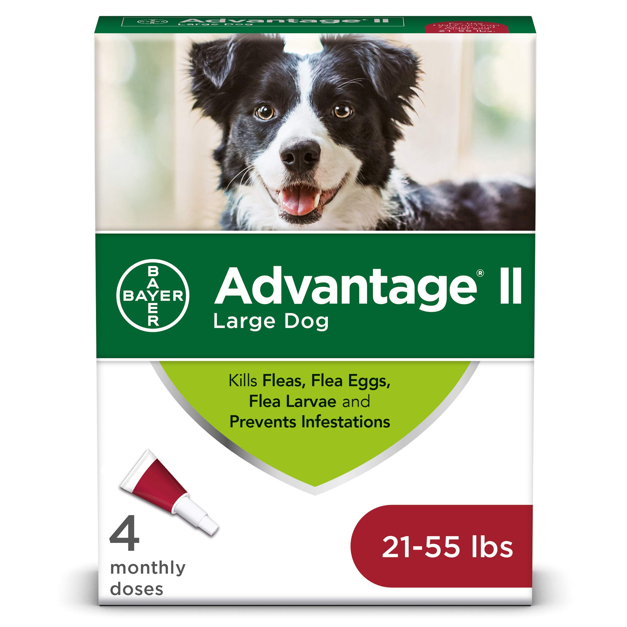 AdvantageII Large Dog Vet-Recommended Flea Treatment & Prevention | Dogs 21-55 lbs. | 4-Month Supply
