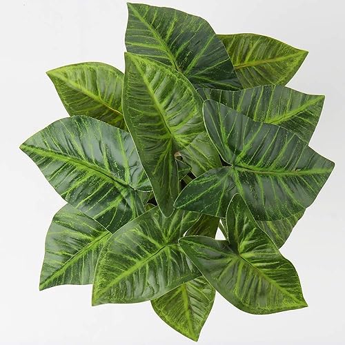 Miniatura 5 de Briful 2 plantas artificiales en maceta de Alocasia, Begonia Calathea, mini plantas falsas en maceta de plástico, pequeñas plantas de imitación de
