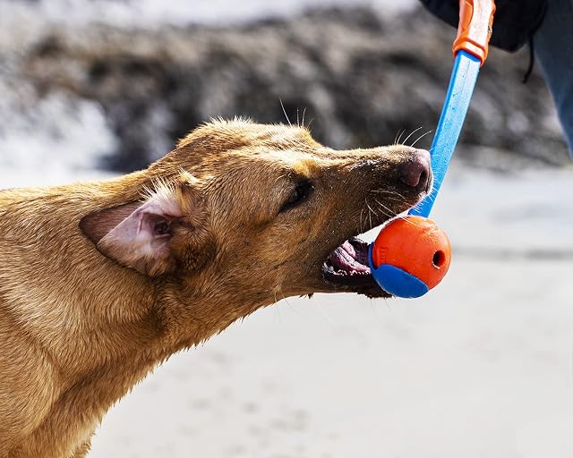 Foto 2 de 3 de Canine Hardware Chuckit. Pelota de Fetch