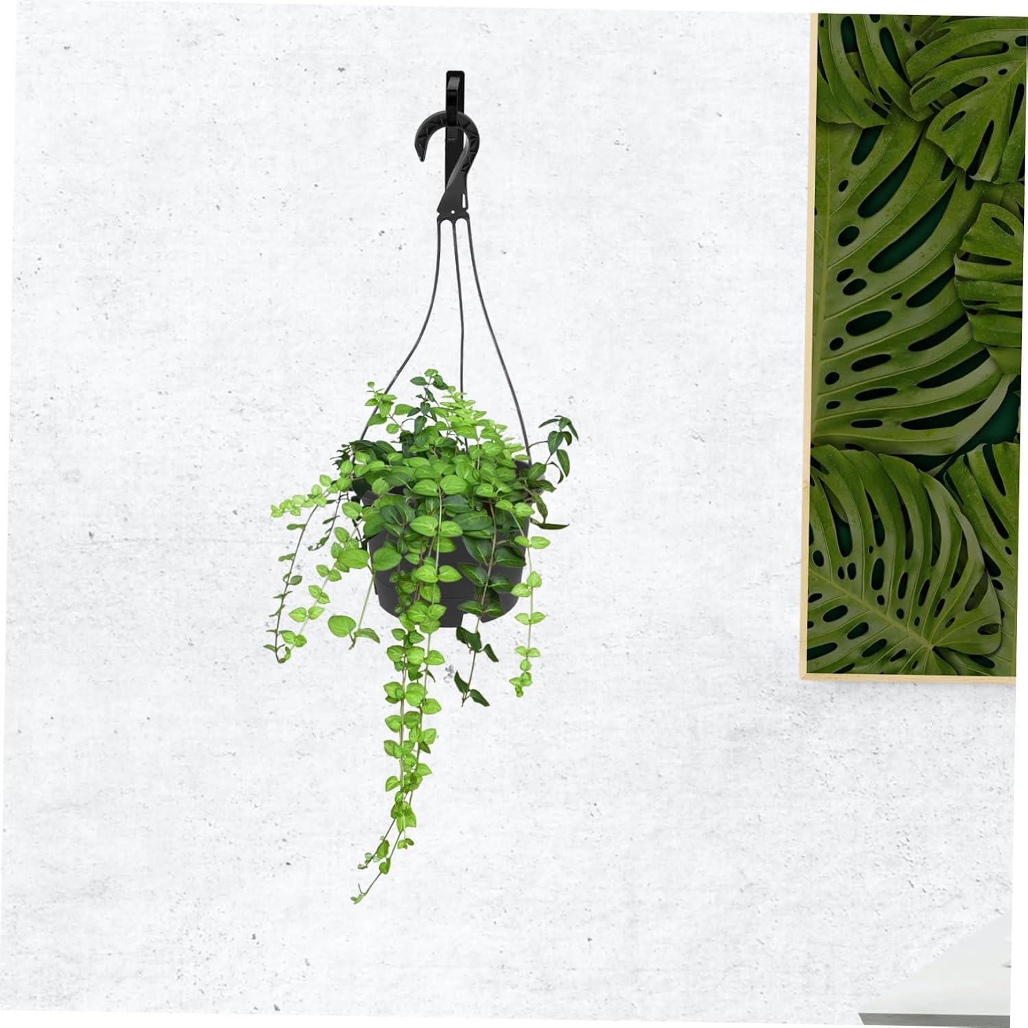 Yardwe Hanging Flower Pots for Plants Set of 2 Plastic Outdoor Planters Hole Chlorophytum Hanging Basket for Decor