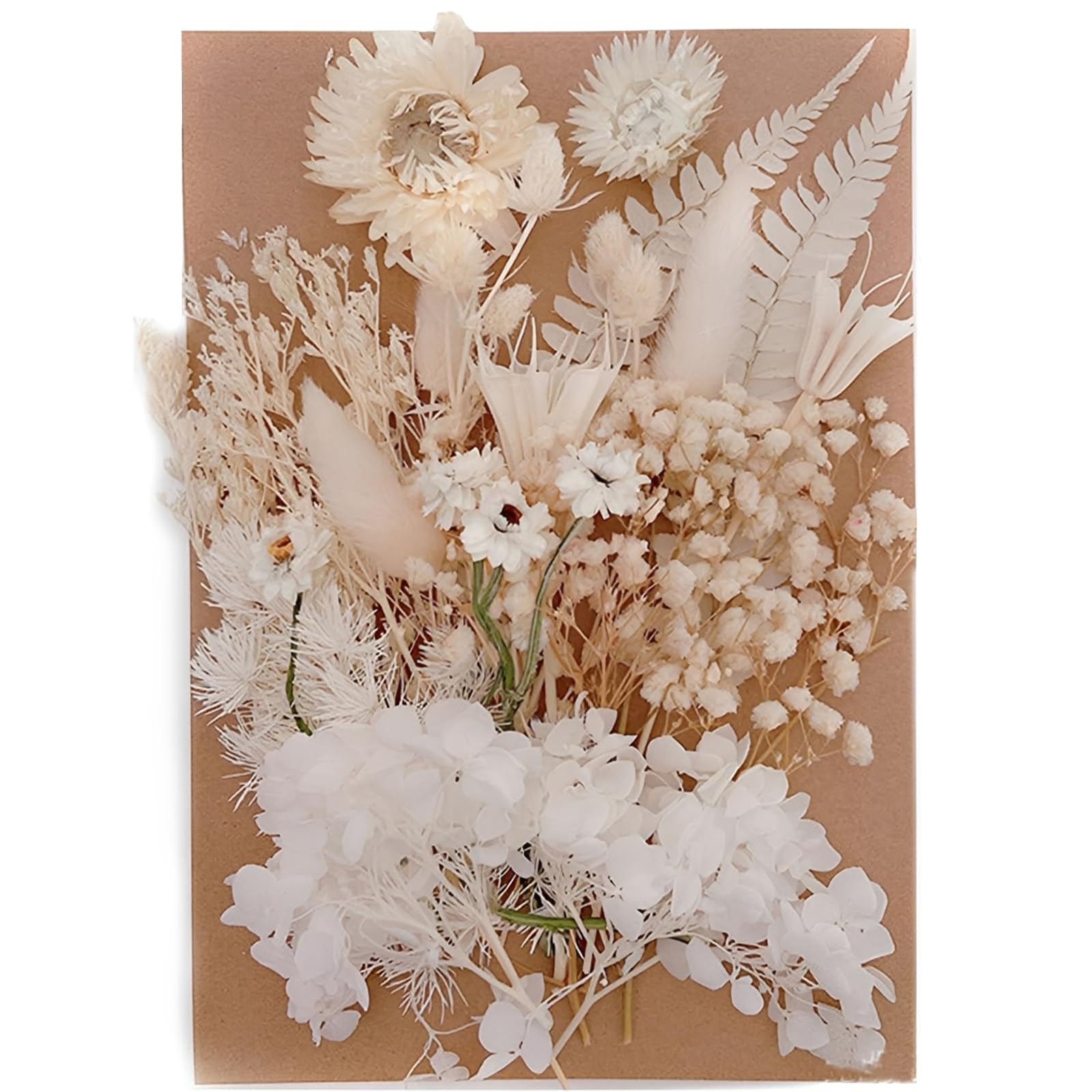 Fleurs Séchées Naturelles Miniatures pour Décoration Résine Époxy, DIY et Scrapbooking