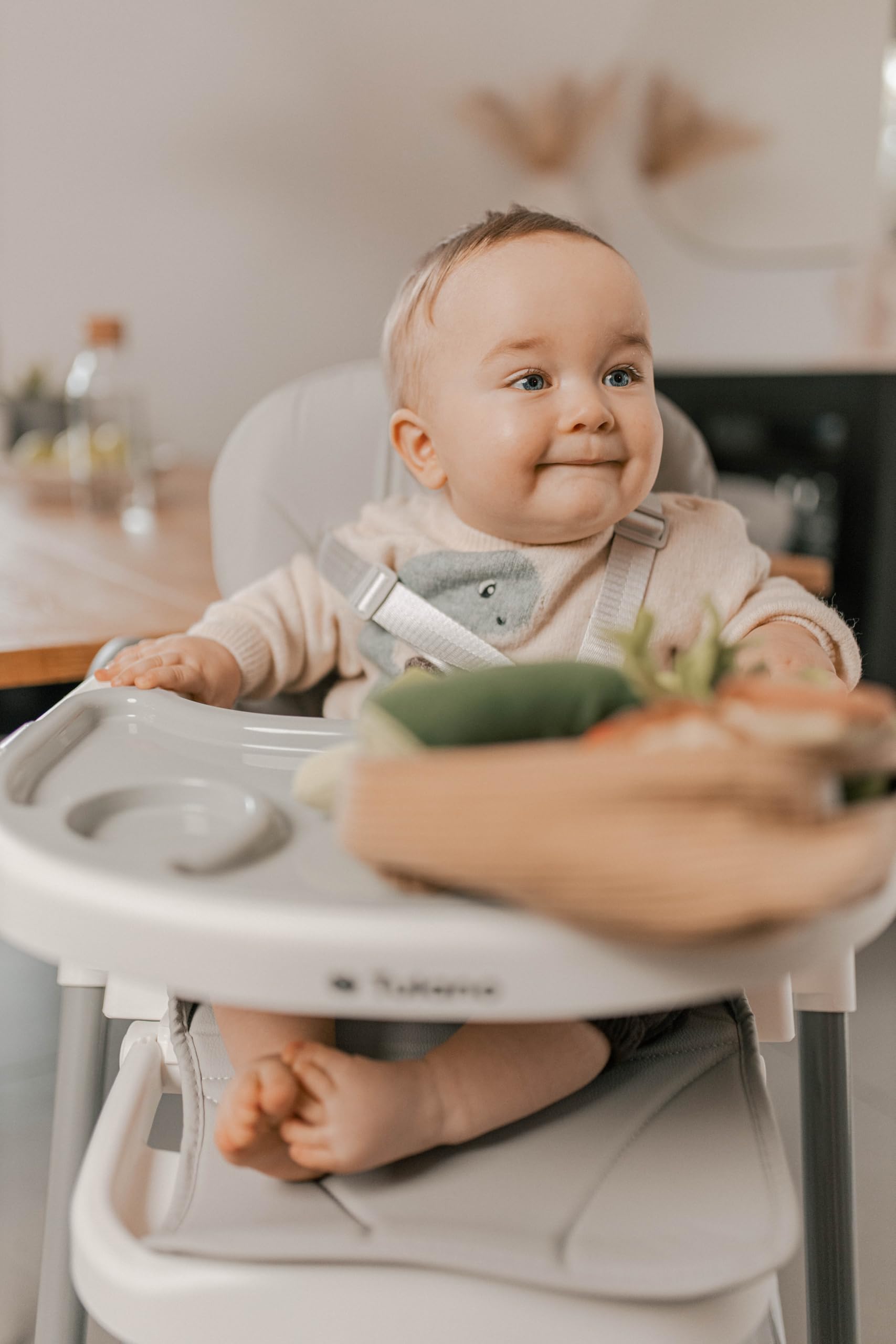 Tulano Morsel 30 Hochstuhl Baby, höhenverstellbar, klappbar, mit Tablett, 5-Punkt-Gurt, abnehmbares Tablett spülmaschinenfest, für Babys ab 6 Monate, Kinderhochstuhl Grau