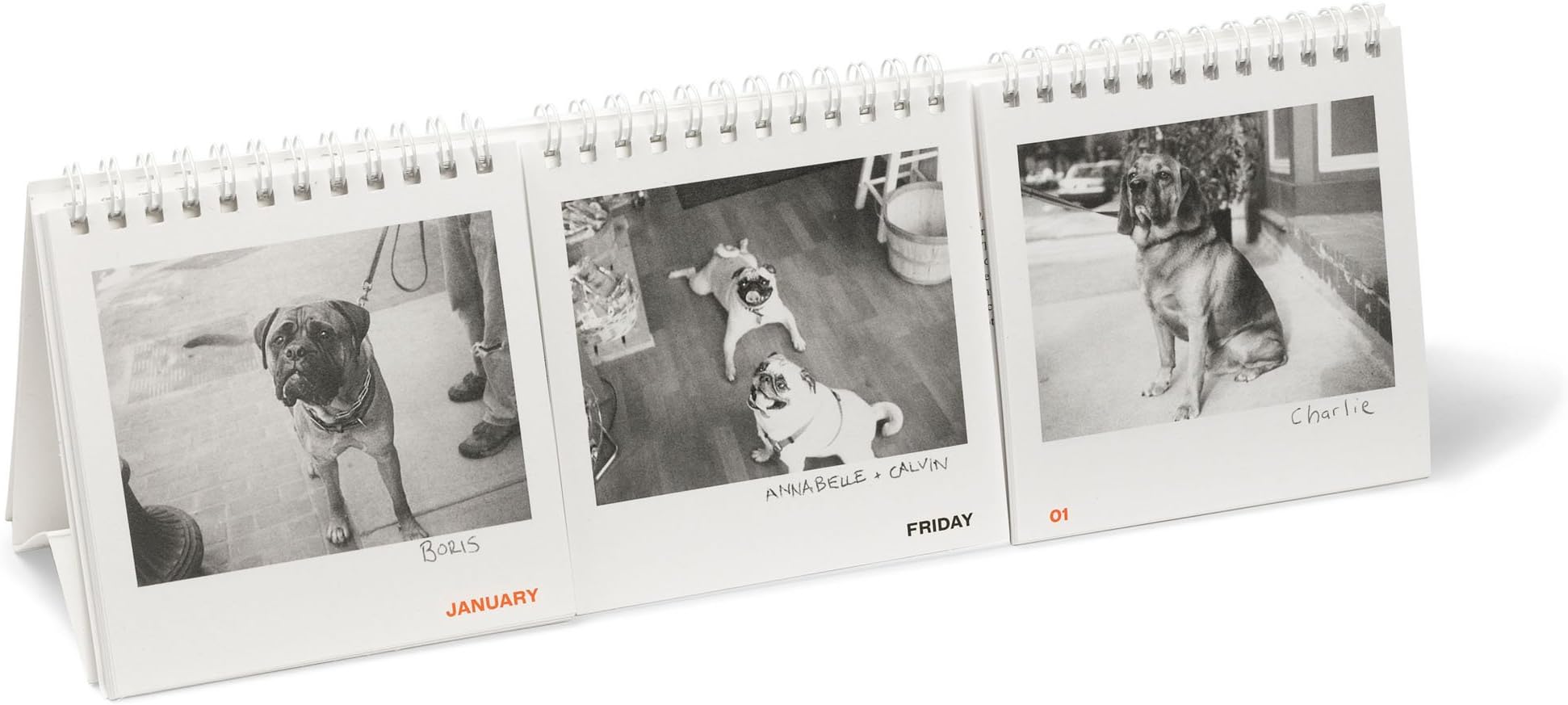 Bob's Your Uncle MM01 Dog Days Perpetual Calendar