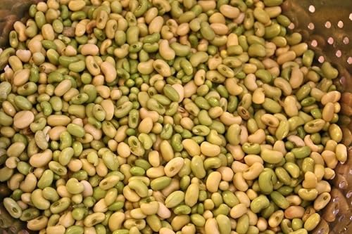 Miniatura 8 de Semillas de guisante blanco - Prepara el pan de maíz - Esta es una de las mejores (100 semillas)