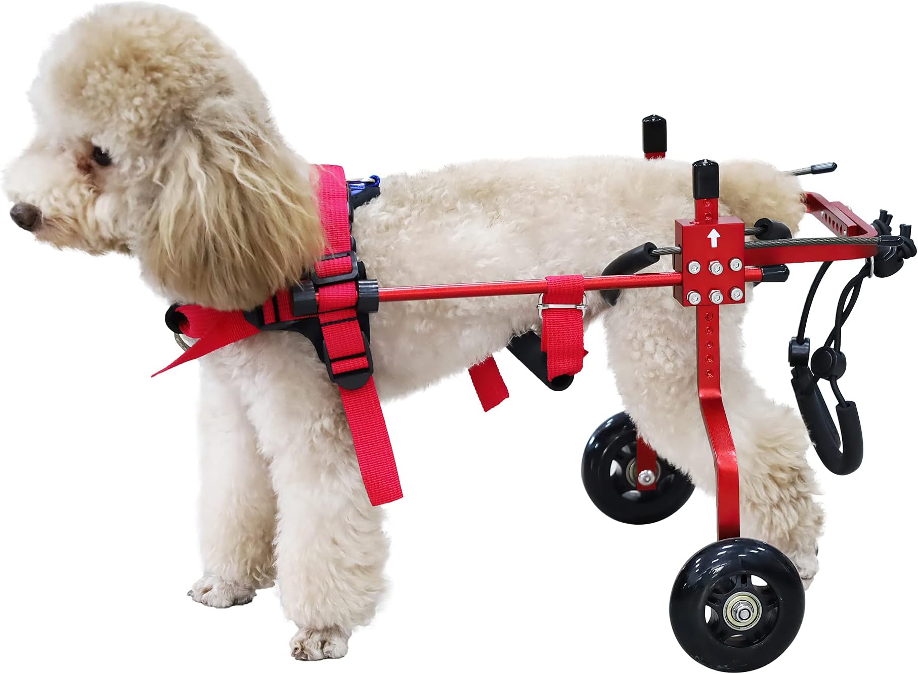 derYEP Pet Scooter Wheelchair for Rear Legs paralyzed Dog