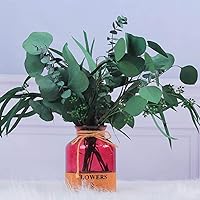 Vista 2 de 12 tallos de hojas de eucalipto secas reales mixtas, ramas de plantas preservadas, eucalipto de dólar plateado, ramos de eucalipto con semillas