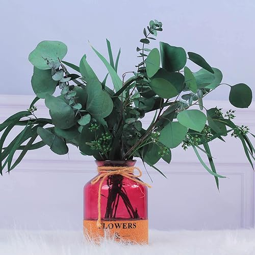 Miniatura 2 de Glicrili 12 tallos mixtos de hojas de eucalipto secas reales  ramas de eucalipto preservadas, eucalipto de dólar plateado, ramos de eucalipto