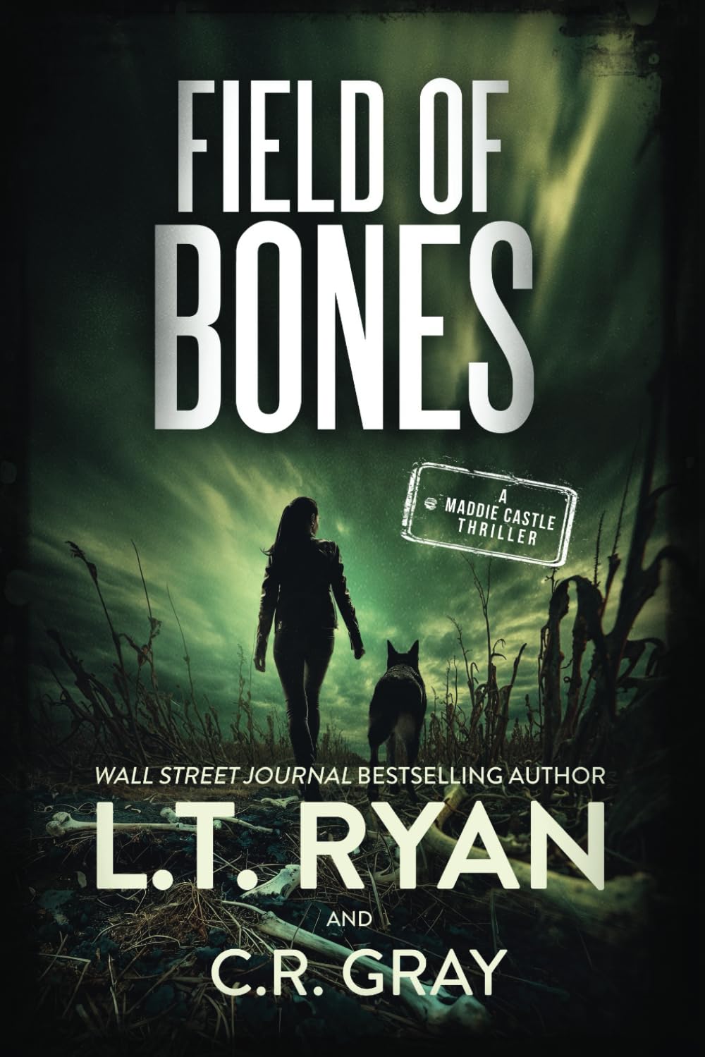 Field of Bones (Maddie Castle)
