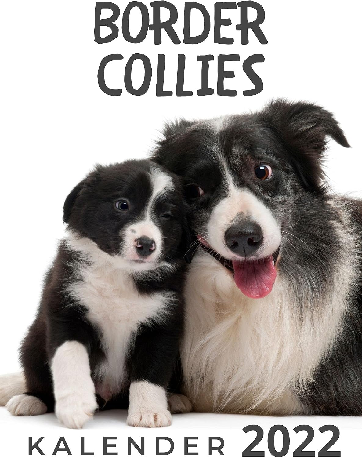 Border Collies: Kalender 2022 (German Edition)