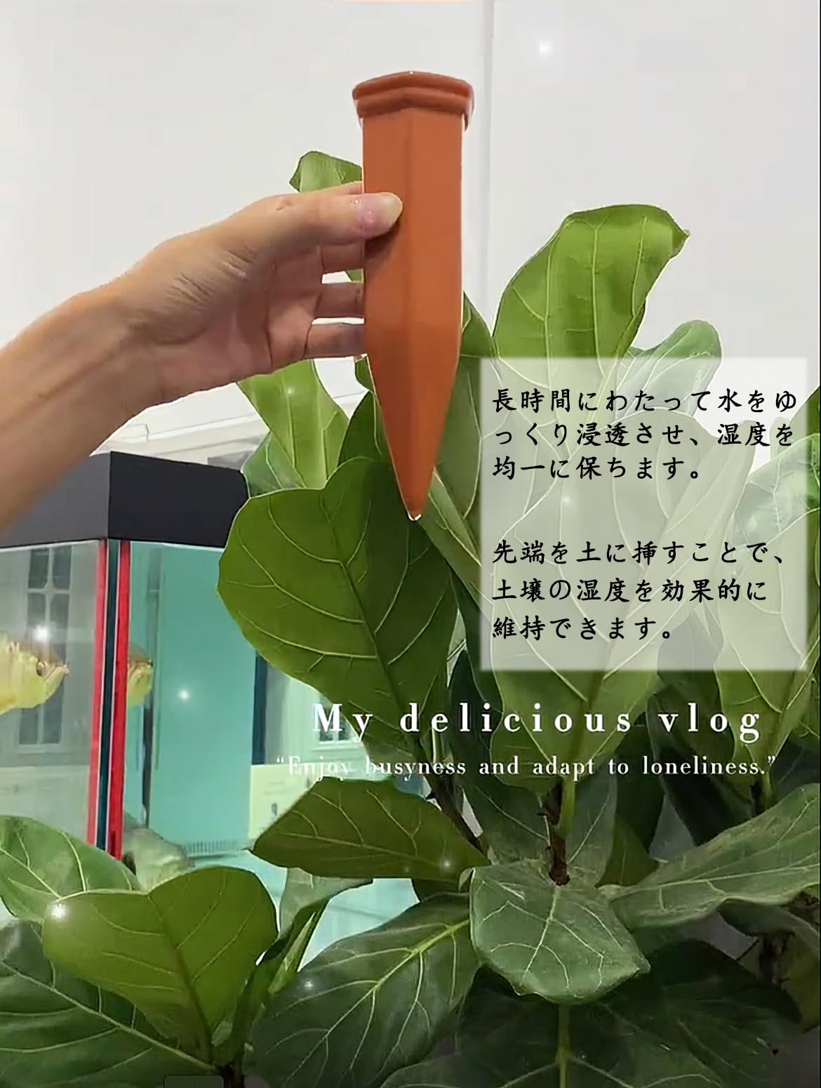 自動水やり機 6本 入 室内 植物 水やり自動給水器 留守 水やり ペット ボトル プランター 水やり 旅行 給水ツール 陶器 ガーデニング用品