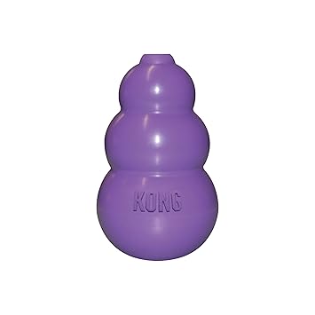 KONG Kitty Treat Dispenser